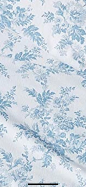 Blue Toilé